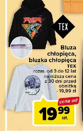 Bluza ch艂opi臋ca 3-12 lat Tex promocja