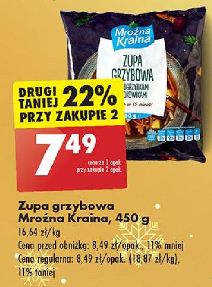 Zupa grzybowa z podgrzybkami i borowikami Mroźna kraina promocja w Biedronka