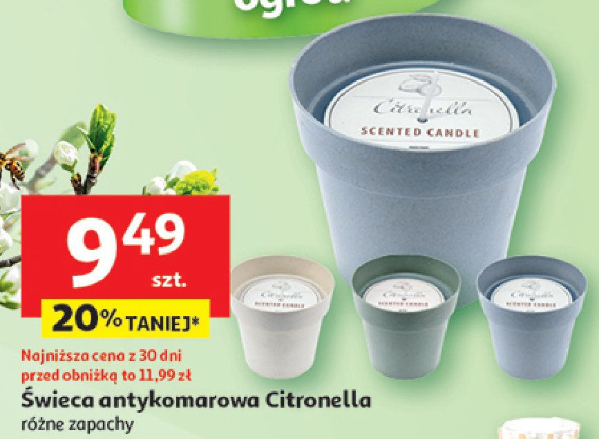 Świeca na komary Citronella Pro candle promocja w Auchan
