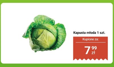 Kapusta młoda 1 szt. promocja w Biedronka