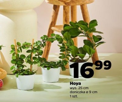 Gazetka Spożywcza, strona 6 promocja w Netto