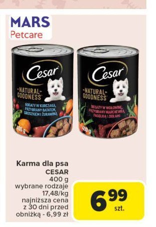 Karma dla psa z wołowina Cesar (karma) promocja