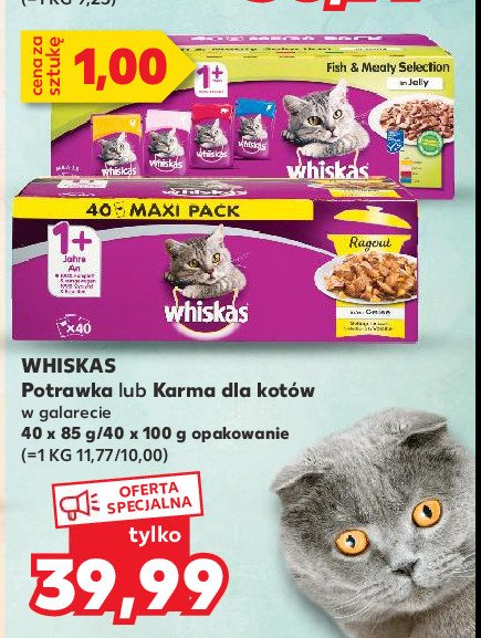 Karma dla kota smaki rybne i tradycyjne w galaretce Whiskas promocja