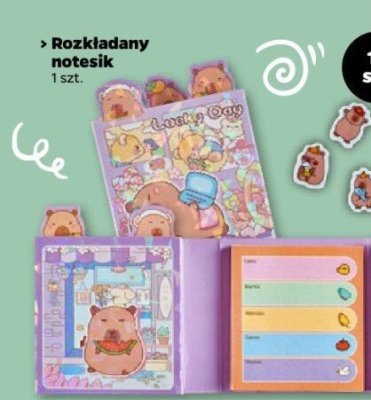 Rozkładany notesik promocja w Netto