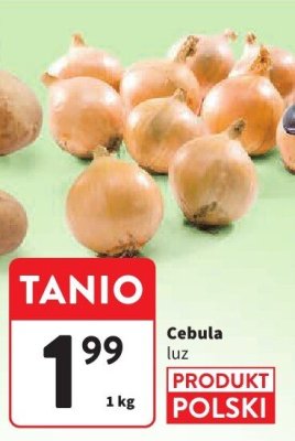 Cebula luz promocja w Intermarche