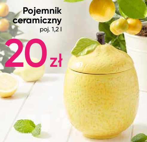 Pojemnik do przechowywania 1.2 l promocja