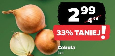 Cebula promocja w Netto