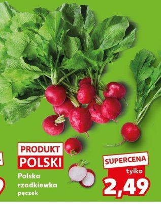 Rzodkiewka Polska pęczek promocja w Kaufland