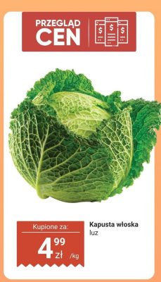 Kapusta włoska luz promocja w Dino