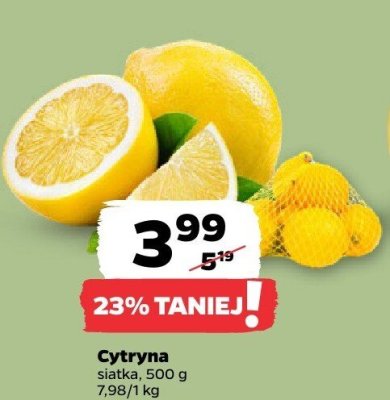 Cytryna promocja w Netto