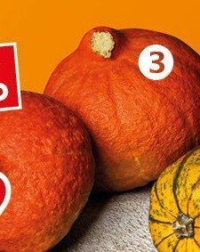 Dynia promocja w Kaufland