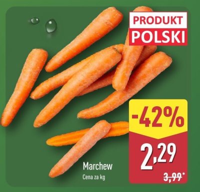 Marchew promocja w Aldi