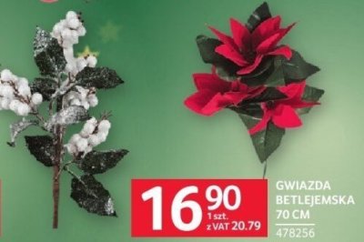 Gwiazda betlejemska 75 cm promocja w Selgros
