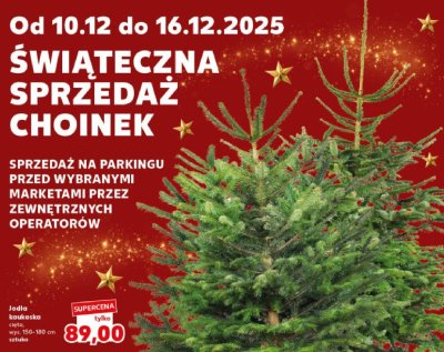 Jodła kaukaska cięta promocja w Kaufland