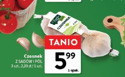 Czosnek promocja w Intermarche