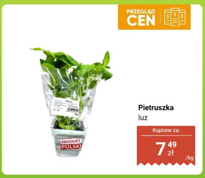 Pietruszka luz promocja w Dino