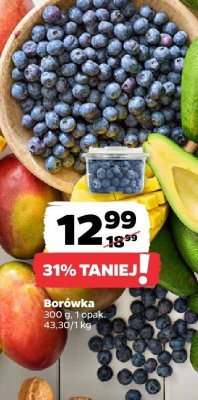 Borówka promocja w Netto