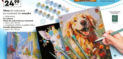 Obraz do malowania po numerach lub mozaika - różne wzory promocja w Biedronka