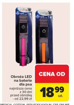 Obroża led promocja w Carrefour