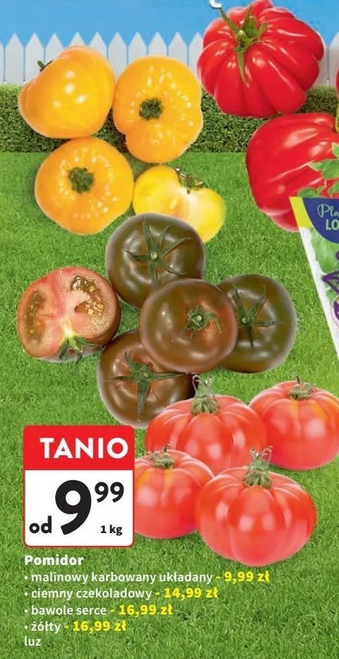 Pomidory karbowane promocja w Intermarche