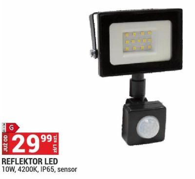 Reflektor LED 10W, 4200K, IP65, sensor promocja w Merkury Market