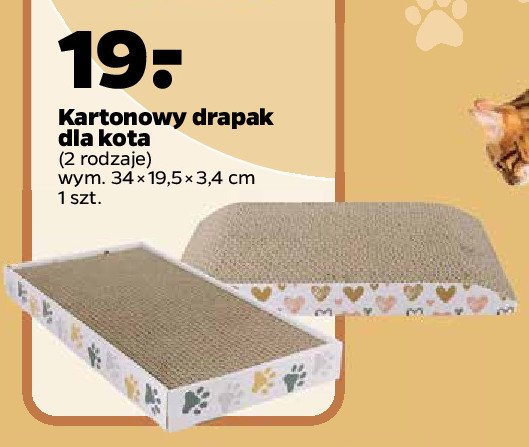 Drapak dla kota kartonowy 34 x 19.5 x 3.4 cm promocja