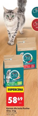 Karma dla kota Purina One, 3 kg promocja w Biedronka