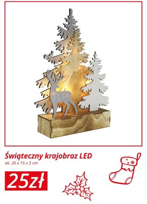 Świąteczny krajobraz LED promocja w KiK