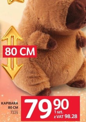Kapibara 80 CM promocja w Selgros