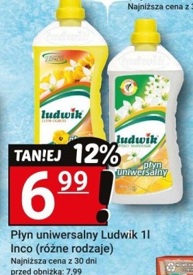 Płyn uniwersalny Ludwik 1l Inco (różne rodzaje) promocja w Hitpol
