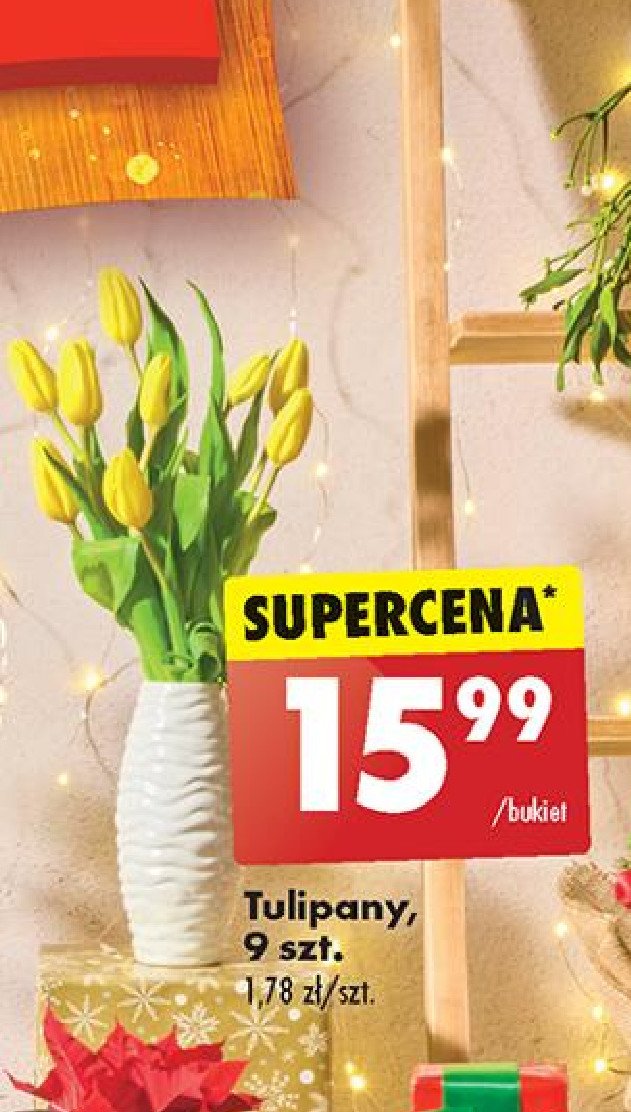 Tulipany promocja w Biedronka