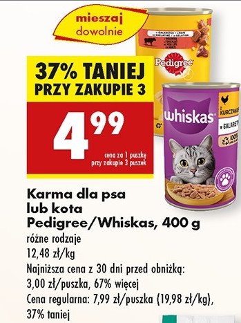Karma dla psa wołowina w galaretce Pedigree promocja w Biedronka