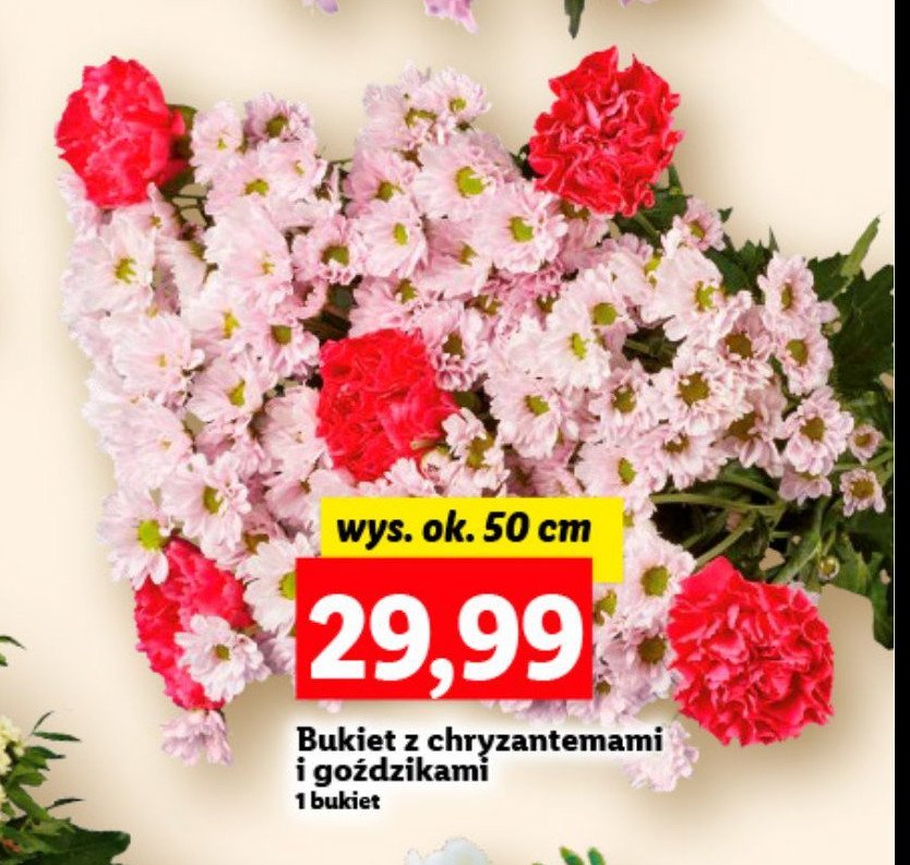 Bukiet z chryzantemami i goździkami promocja