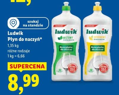 Płyn do naczyń promocja w Lidl