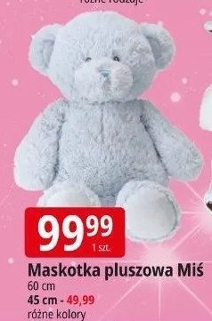 Maskotka pluszowa Miś promocja w Leclerc