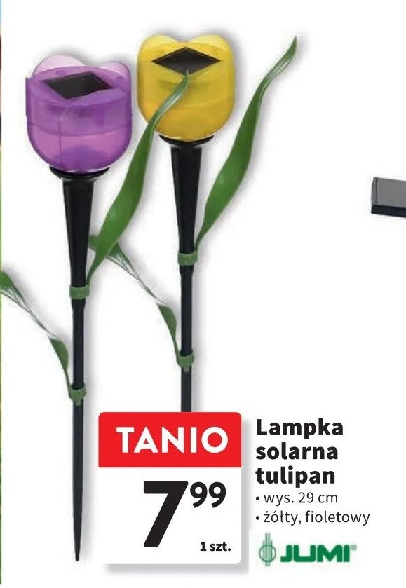 Lampa solarna tulipan Jumi promocja w Intermarche