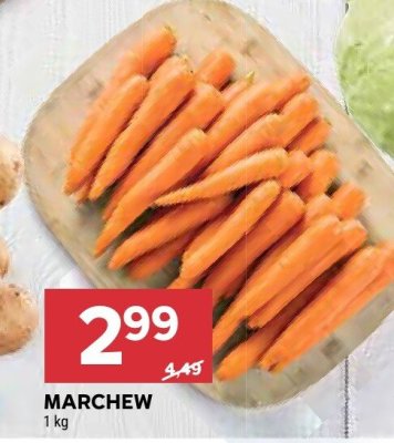 Marchewka młoda promocja w Stokrotka