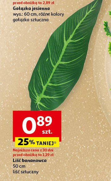 Liść bananowca 50 cm promocja