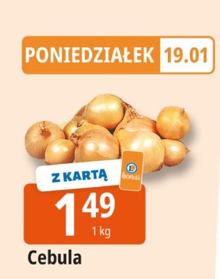 Cebula 1kg promocja w Leclerc