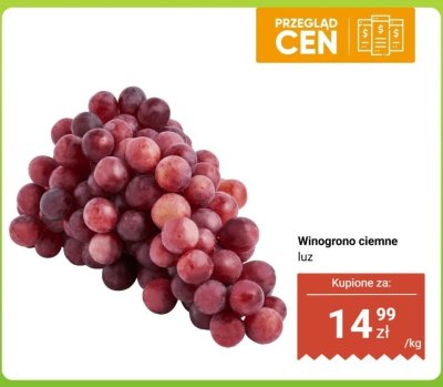 Winogrono ciemne luz promocja w Dino