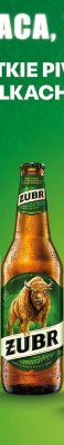 Piwo Żubr promocja w Biedronka