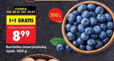 Borówka amerykańska promocja w Biedronka