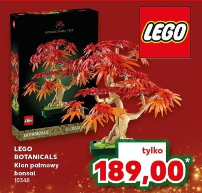 Klocki BOTANICALS Klon palmowy bonsai 10348 promocja w Kaufland