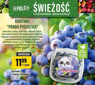 Borówki Panda Pychotka promocja w POLOmarket