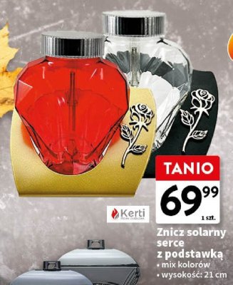 Znicz promocja w Intermarche