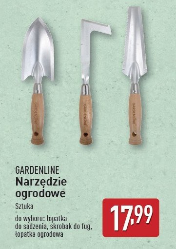 Skrobak do fug GARDEN LINE promocja w Aldi