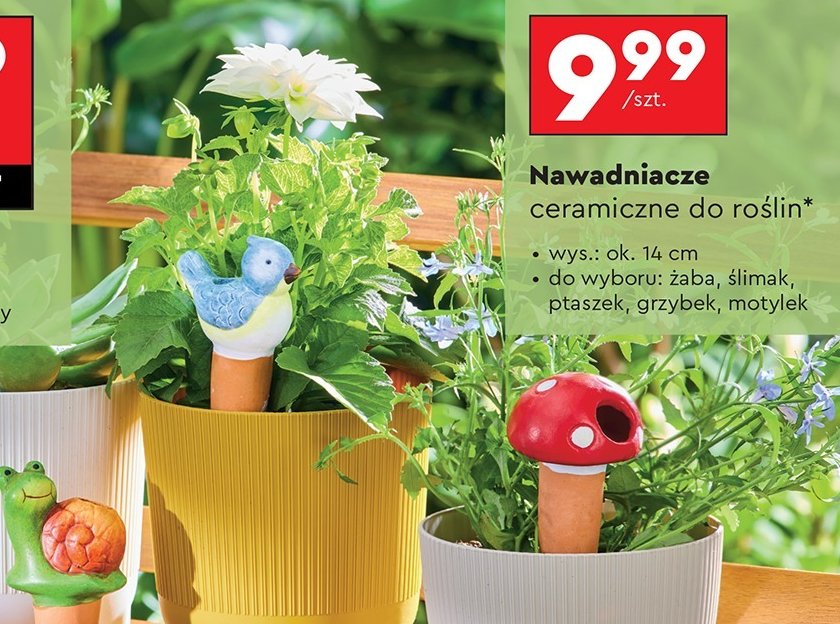 Nawadniacz do roślin motylek 14 cm promocja w Biedronka