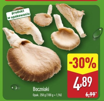 Boczniaki promocja w Aldi