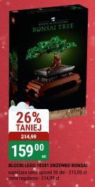 Klocki LEGO 10281 Drzewo Bonsai promocja w bi1