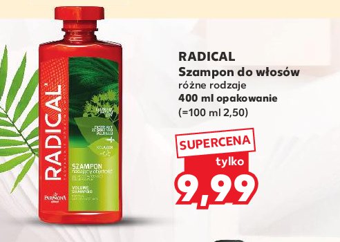 Szampon do włosów nadający objętość Radical promocja
